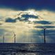 Illustration for article titled The world's largest offshore wind farm from space